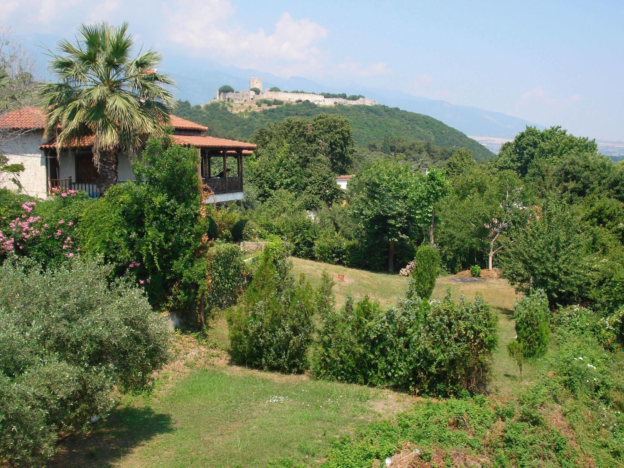 Hotel Alkyonis Platamonas Exterior photo